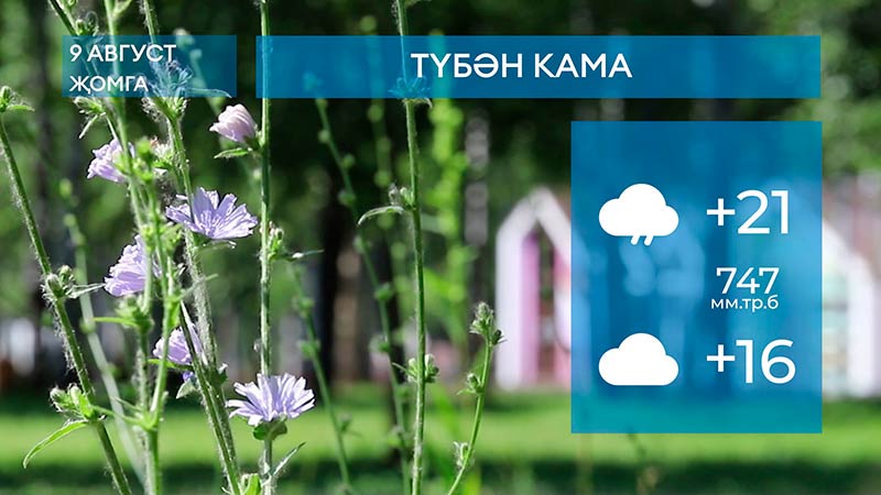2024 елның 9 августына һава торышы