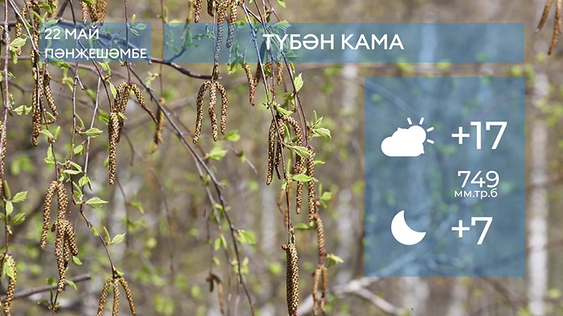 2025 елның 22нче маена һава торышы