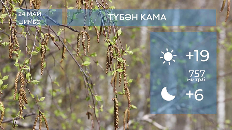 2025 елның 24нче маена һава торышы