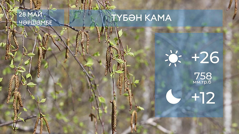 2025 елның 28нче маена һава торышы