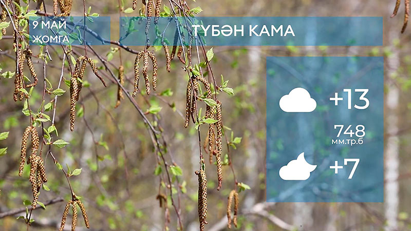 2025 елның 9нче маена һава торышы