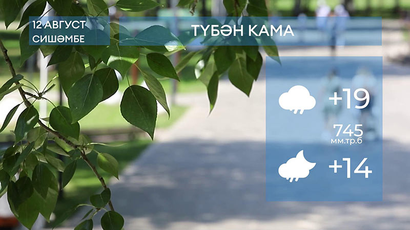2025 елның 12 августына һава торышы