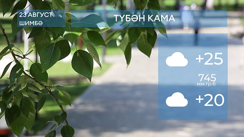 2025 елның 23 августына һава торышы