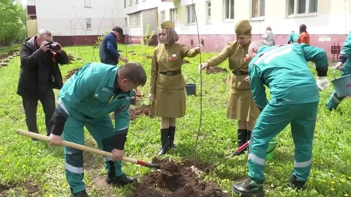 Түбән Кама ишегалларының берсендә СИБУР ярдәме белән миләш бакчасы утырттылар