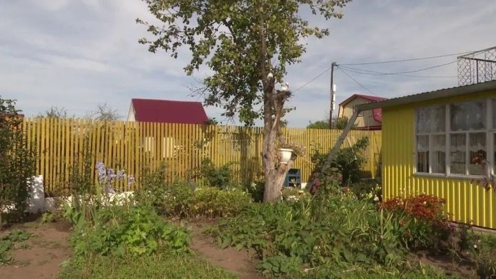 Дәүләт Думасы депутаты җәй көне дача сатып алуның уңай һәм тискәре якларын атады