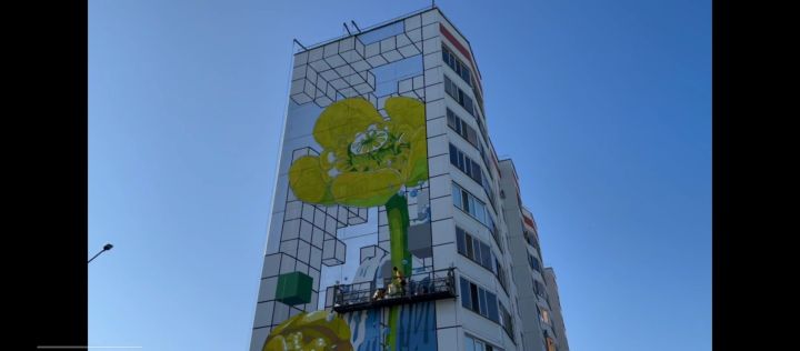 Түбән Камадагы биш күпфатирлы йортның фасадында яңа мураллар барлыкка киләчәк