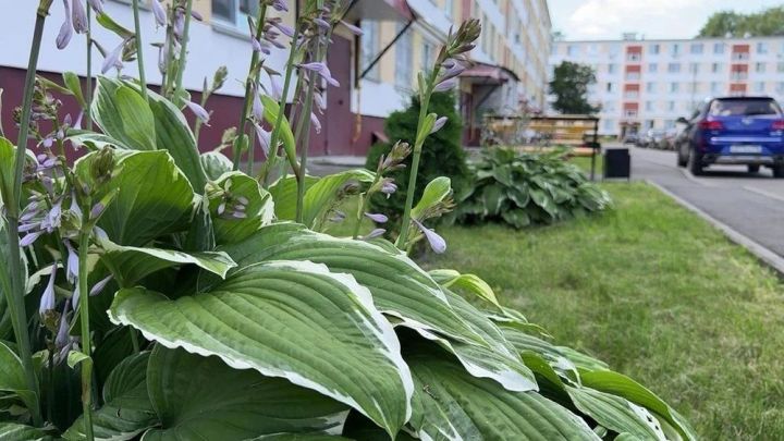 Татарстанда киләсе атнада бераз яңгыр яварга мөмкин