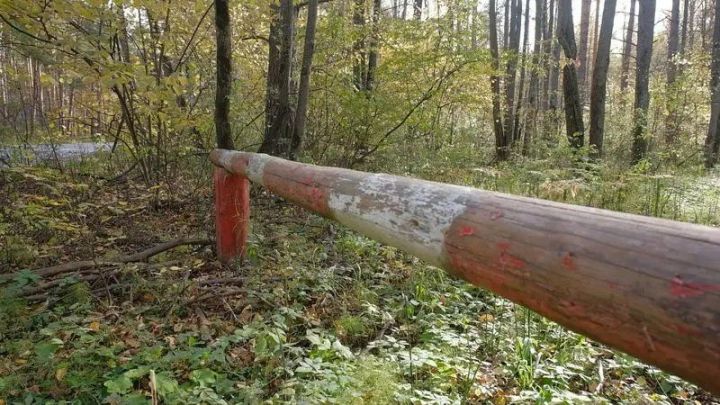 Татарстан Урман хуҗалыгы министрлыгы көзен янгын куркынычы турында кисәтте