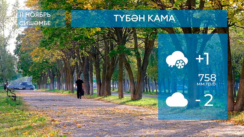 2024 елның 12 нояберенә һава торышы