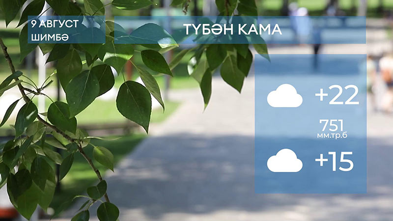 2025 елның 9 августына һава торышы