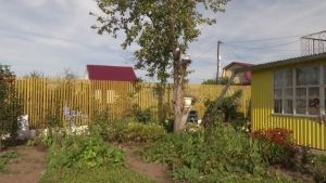 Юрист дачада тыелган пестицидлар кулланган өчен штраф янау турында кисәтте