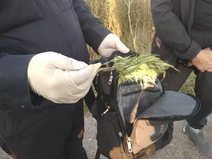 Түбән Камада полиция хезмәткәрләре ир-атның рюкзагында 2 килограмм марихуана тапкан
