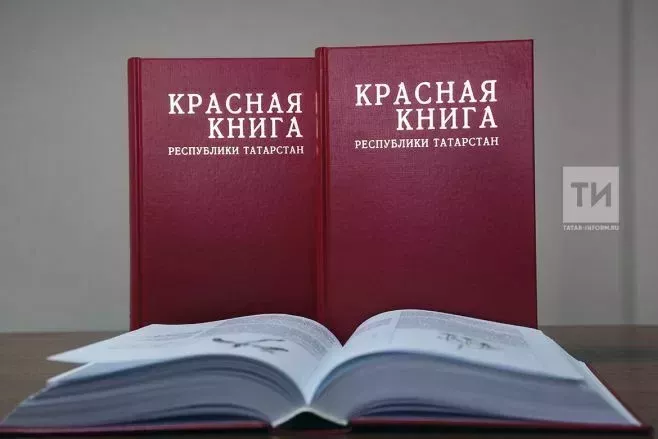 Татарстанның Кызыл китабы 2025 елда кабат нәшер ителәчәк