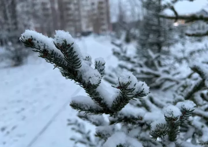 Синоптик Татарстанда ноябрь башында кар явачагы турында кисәтте