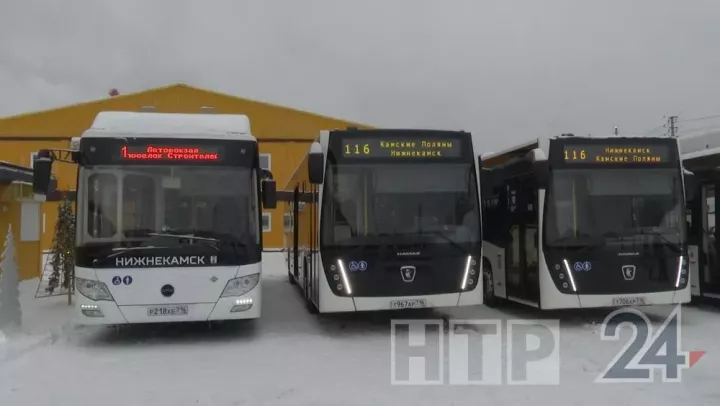 Түбән Камада яңа автобуслар рейска чыга