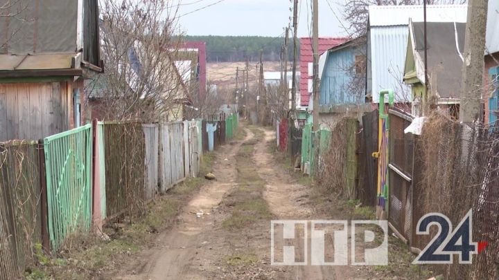 Юрист дачада нинди койма өчен штраф салырга мөмкин булуы турында сөйләде