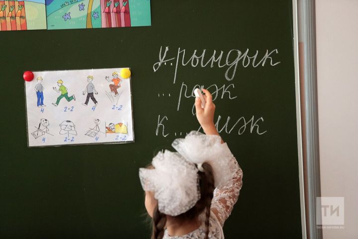 Адвокат мәктәптә ата-аналардан акча җыюда катнашу мәҗбүри булмавы турында сөйләде