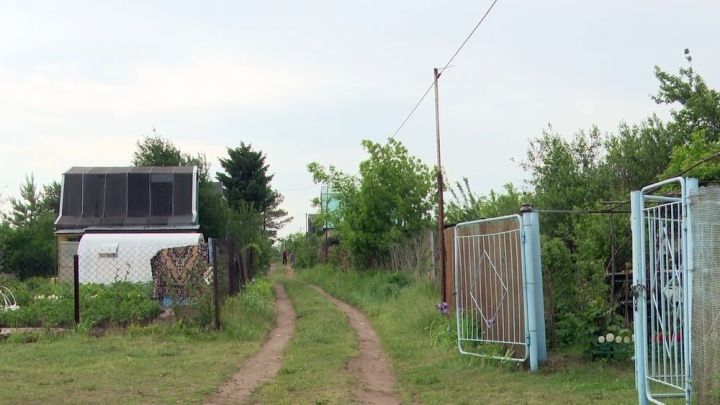 Юрист нинди койма өчен судка бирә алулары турында сөйләде