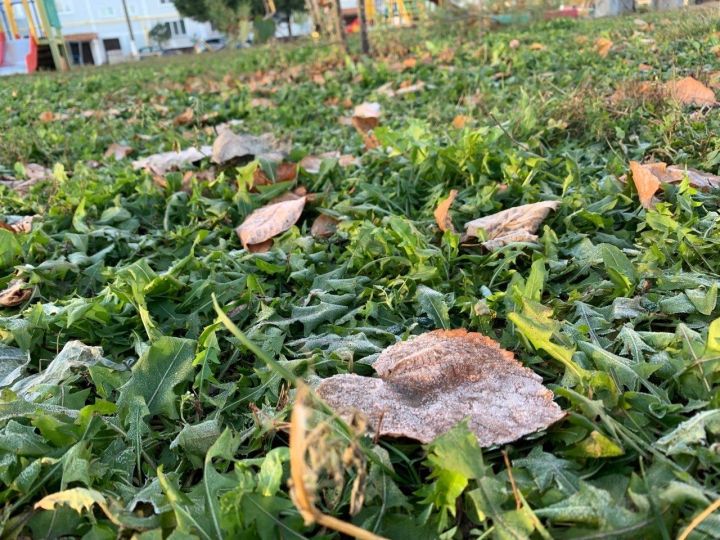 Гидрометеорология үзәге Татарстандагы кырау төшү сәбәпләрен аңлатты