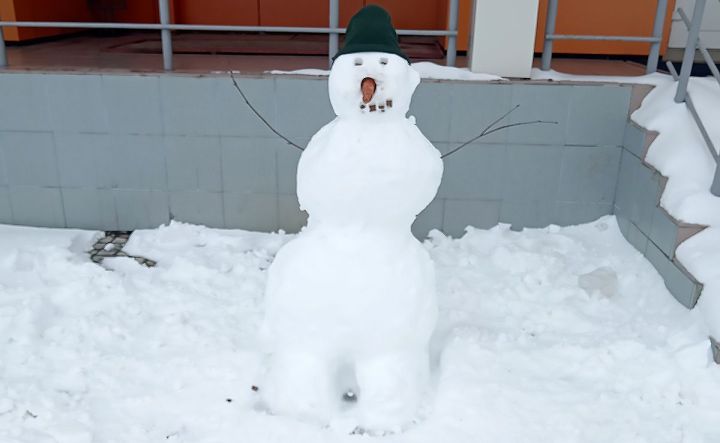 Татарстанда кар кайчан эреп бетәчәк? Татарстанның Гидрометеорология үзәге башлыгы фаразы